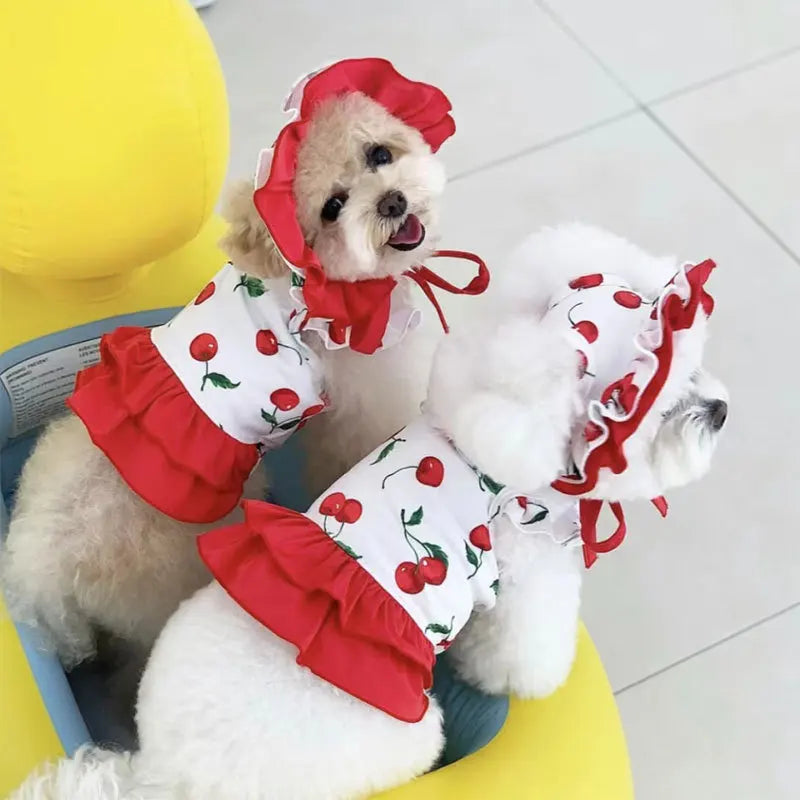 Dog Cute Cherry Swimwear Dress Summer