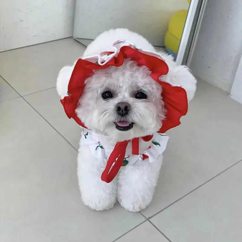 Dog Cute Cherry Swimwear Dress Summer